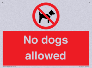 No dogs allowed